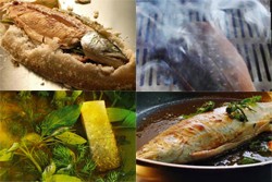 Grundzubereitungsarten von Fisch