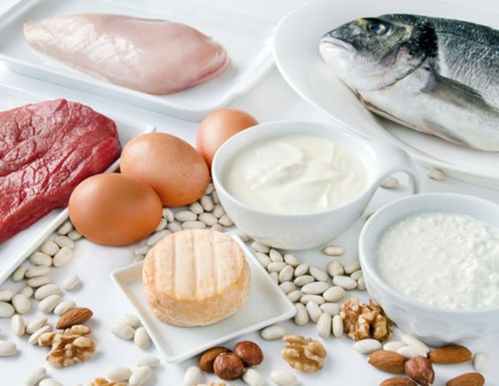 Proteinreiche Ernährung