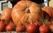 Kürbis versus Halloween-Kitsch