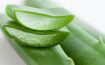 Aloe Vera - Wüstenlilie im Kochtopf