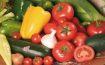 Bio-Obst und Bio-Gemüse