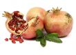 Granatapfel 