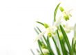 Was ist jetzt im Februar 2012 aktuell? 