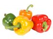 Paprika