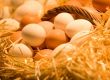 Wie erkennt man frische Eier?