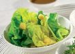 Guter Rat für den gelungenen Salat