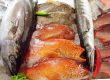 Kochkurs: Fische, Schalen & Krustentiere