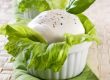 Tipps und Wissenswertes über Mozzarella