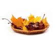 Was ist jetzt im November 2012 aktuell?