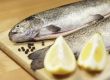Fisch Vorbereitung