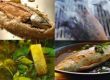 Grundzubereitungsarten von Fisch