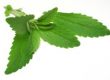 Stevia Anwendungen