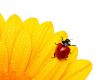 Was ist jetzt im Juli 2012 aktuell?