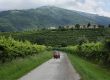 Prosecco, Frizzante, Spumante, Cartizze...