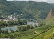 Weinregion Deutschland