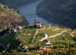 Weinregion Portugal