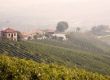 Kochkurs: Italienische Kochschulen 2012 - Toscana