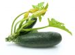 Zucchini 