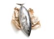 Der Thunfisch 
