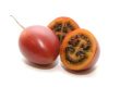 Tamarillo