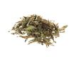 Anbau & Pflege von Stevia