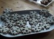 Schneeflocken Schneeflocken