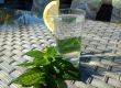 Melisse-Minzesirup (Memi Saft) Melisse-Minzesirup (Memi Saft)