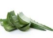 Detox mit Aloe Vera 