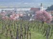 Niederösterreich: Wachau