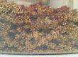 Quinoa-Knuspermüsli Quinoa-Knuspermüsli