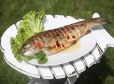 Gegrillter Alpenlachs