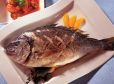 Goldbrasse mit Orangen-Ratatouille