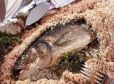 Branzino in der Salzkruste auf italienische Art