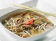 Fat-Burner-Suppe