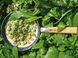 Bärlauchnocken in Weißweinsauce mit Pinienkernen
