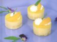 Marillen-Jogurt-Törtchen