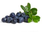 Heidelbeeren Rezepte