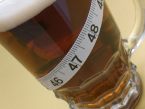 Warum Bier nicht dick macht