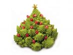 Weihnachten Rezepte