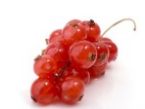 Ribisel Rezepte