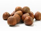 Haselnuss Rezepte