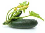 Zucchini Rezepte
