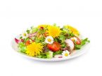 Blumen & Blüten Rezepte