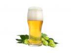 Bier Rezepte
