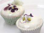 Rezepte für den Frühling