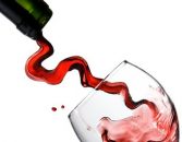 Rund um den Wein