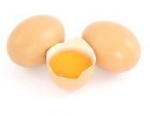 Eier
