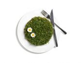Frühling Rezepte
