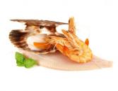 Fisch & Meeresfrüchte