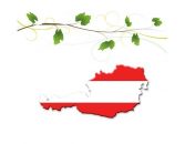 Wein aus Österreich